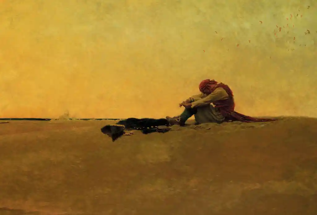 world history, high school history, online history course, homeschool course, pirates, american history